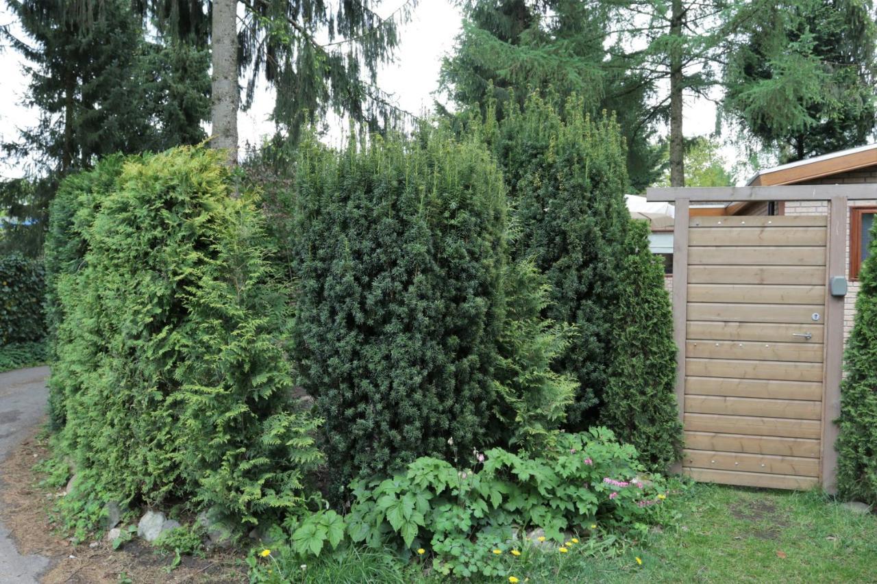 فيلا بوتِنْفي Veluwehuisje Speulderbos المظهر الخارجي الصورة
